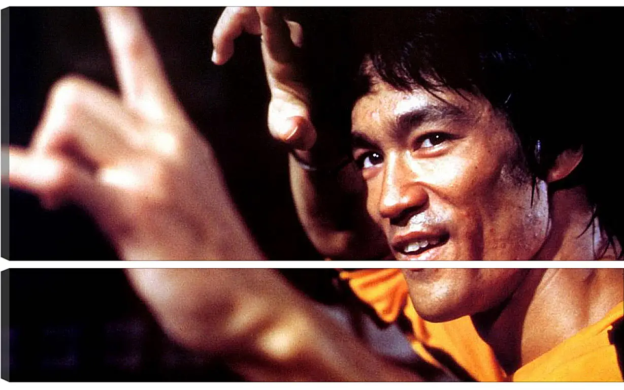 Модульная картина - Брюс Ли (Bruce Lee)