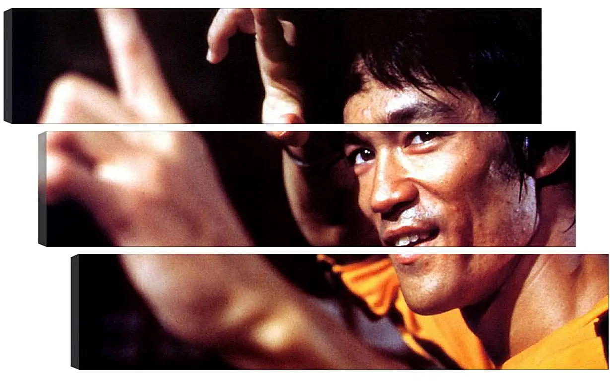 Модульная картина - Брюс Ли (Bruce Lee)