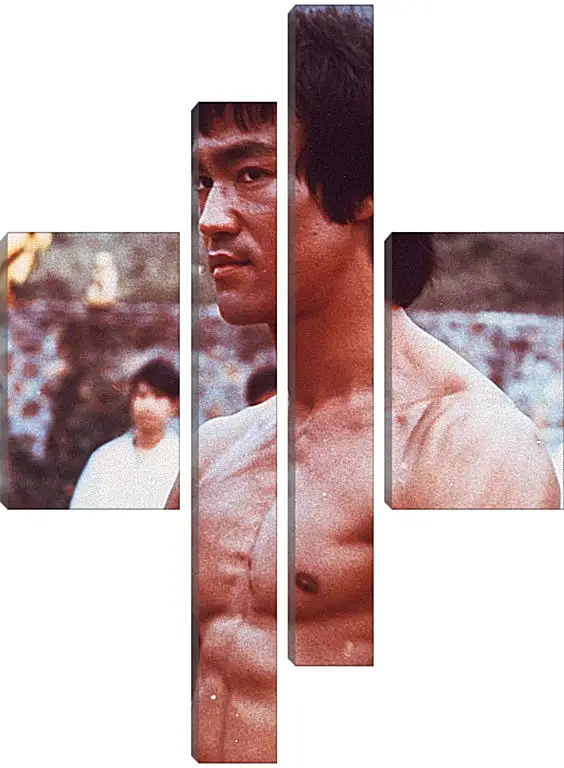 Модульная картина - Брюс Ли (Bruce Lee)