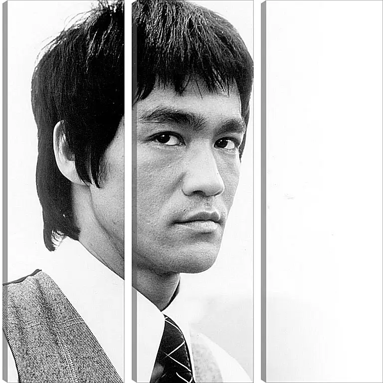 Модульная картина - Брюс Ли (Bruce Lee)