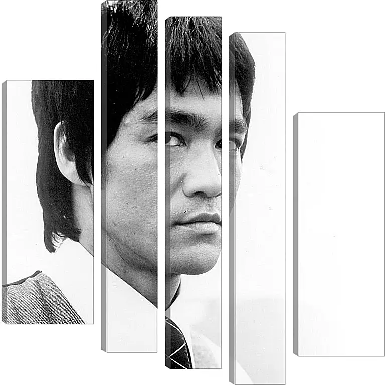 Модульная картина - Брюс Ли (Bruce Lee)