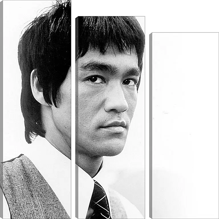 Модульная картина - Брюс Ли (Bruce Lee)