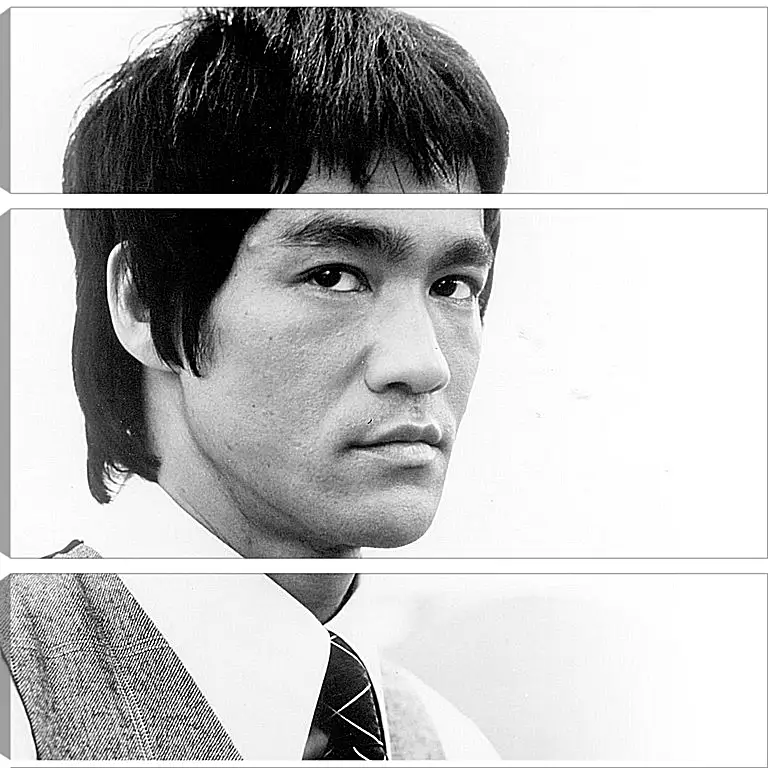 Модульная картина - Брюс Ли (Bruce Lee)