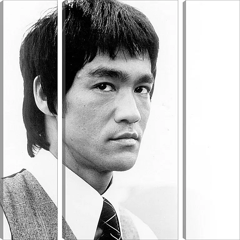 Модульная картина - Брюс Ли (Bruce Lee)