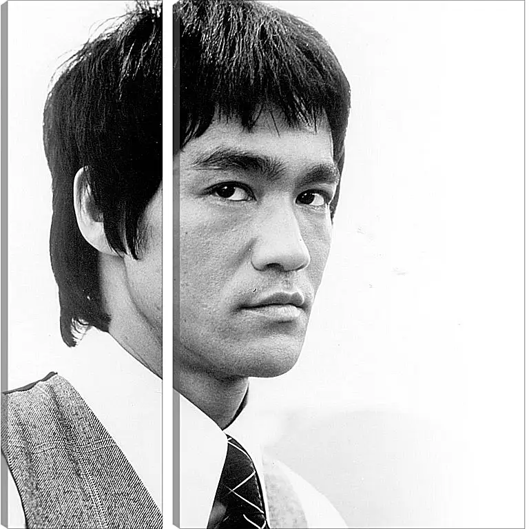 Модульная картина - Брюс Ли (Bruce Lee)