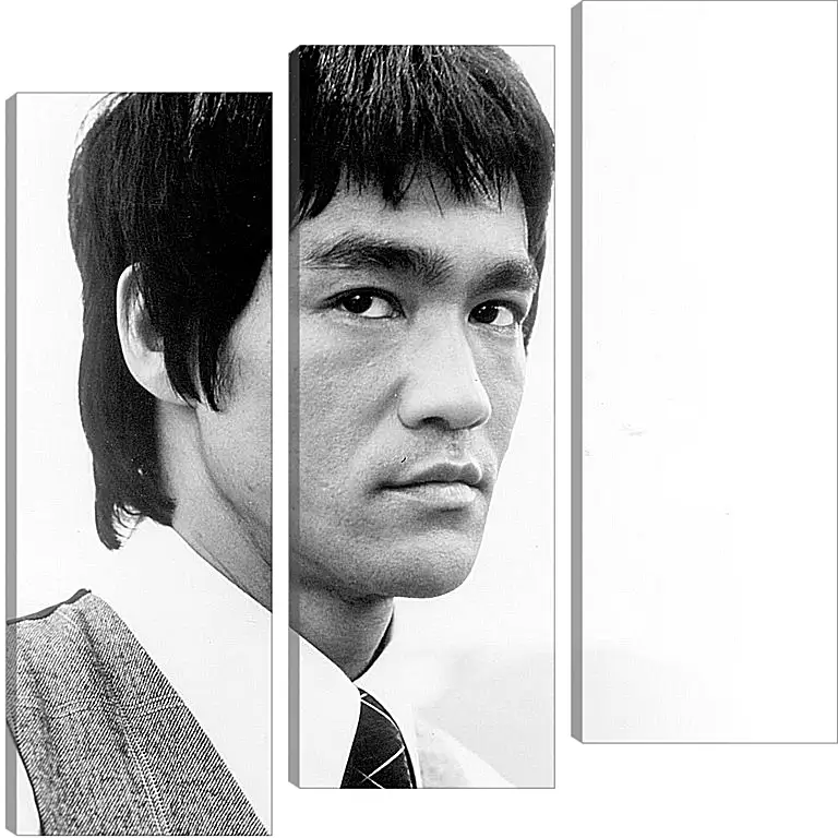 Модульная картина - Брюс Ли (Bruce Lee)