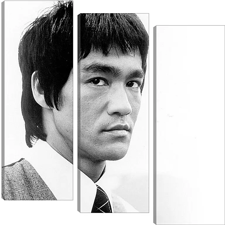 Модульная картина - Брюс Ли (Bruce Lee)