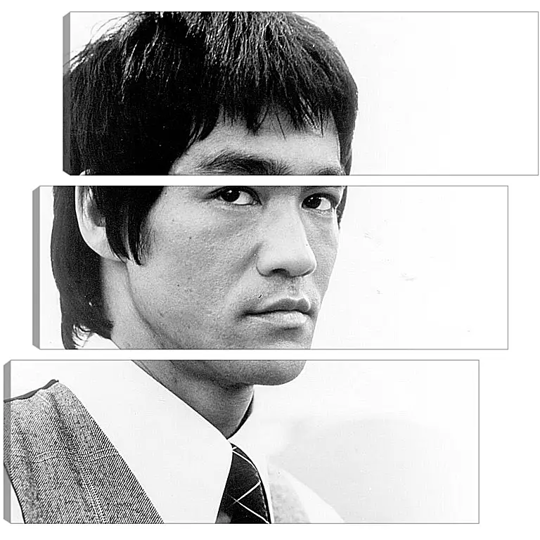 Модульная картина - Брюс Ли (Bruce Lee)