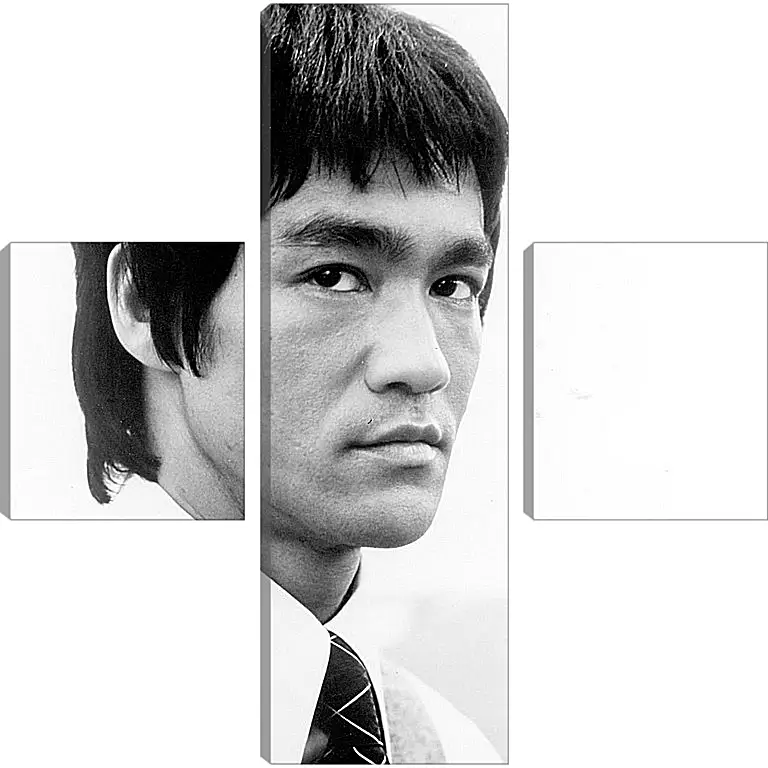 Модульная картина - Брюс Ли (Bruce Lee)