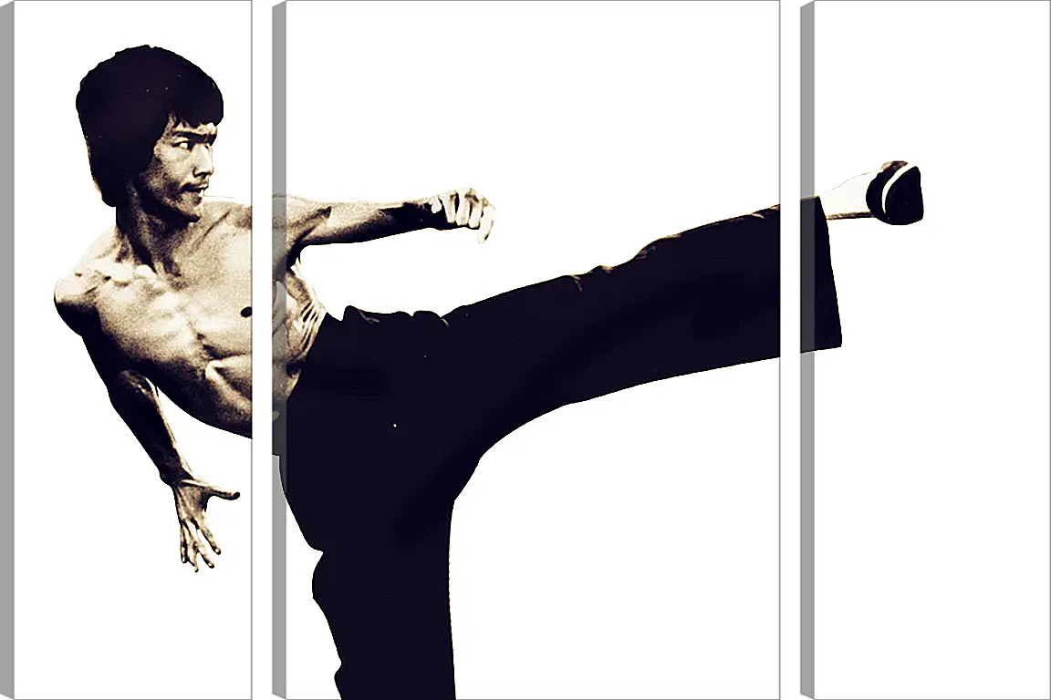 Que arte marcial practicaba bruce lee