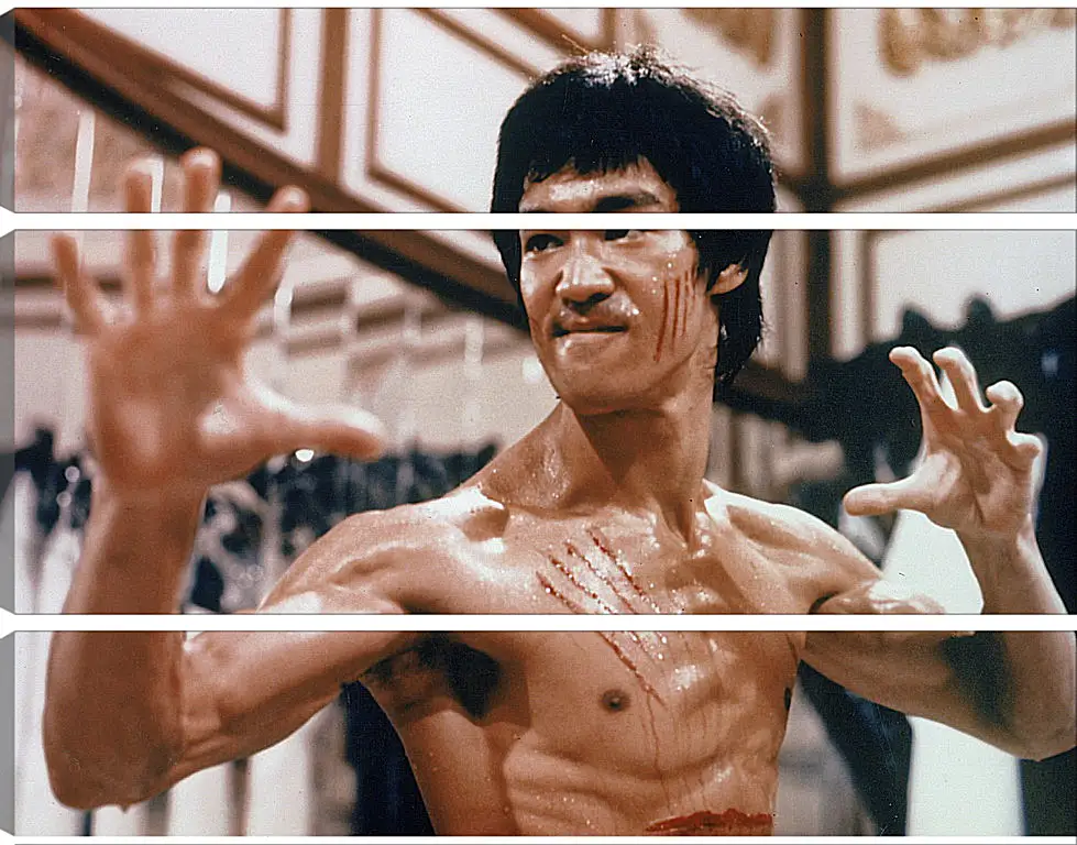 Модульная картина - Брюс Ли (Bruce Lee)