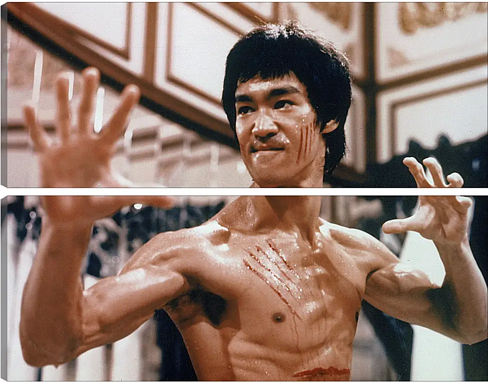 Модульная картина - Брюс Ли (Bruce Lee)