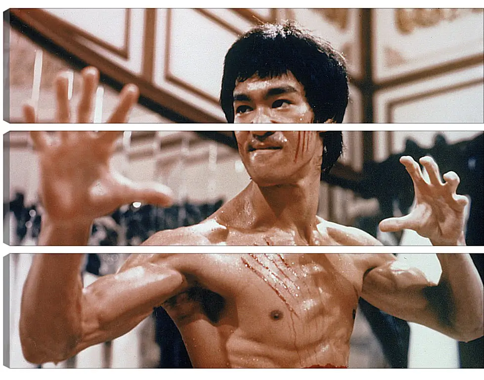 Модульная картина - Брюс Ли (Bruce Lee)