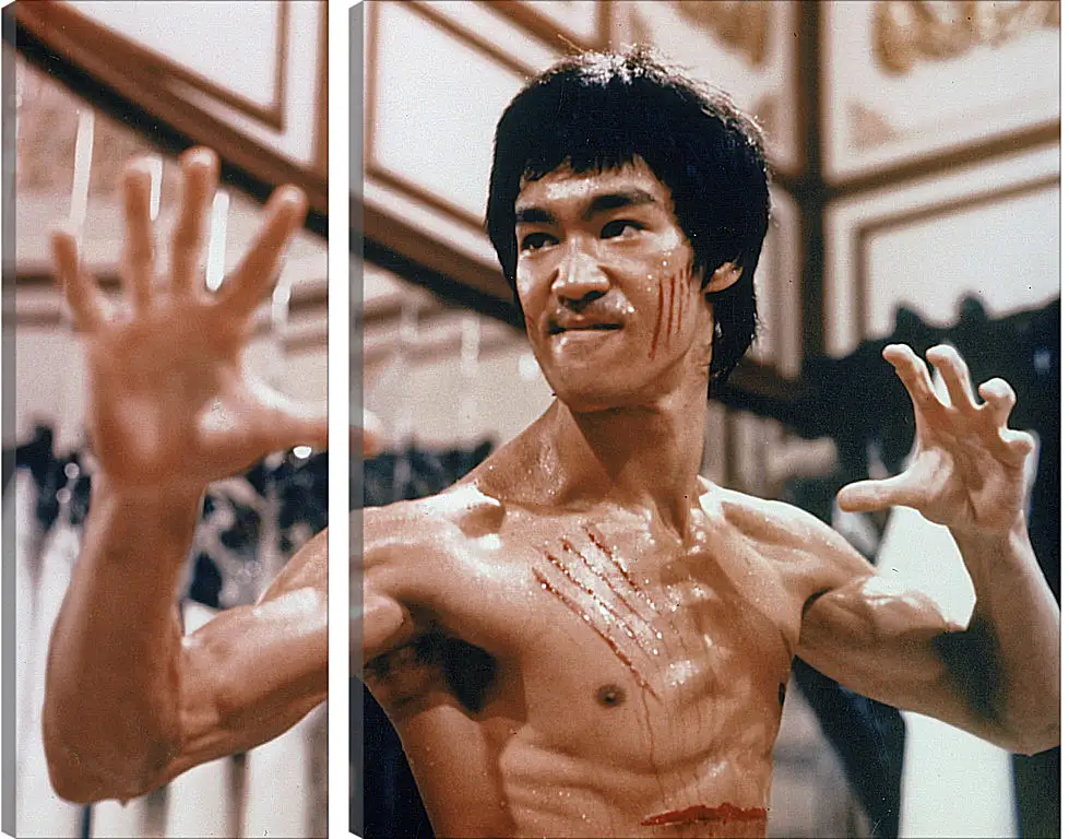 Модульная картина - Брюс Ли (Bruce Lee)