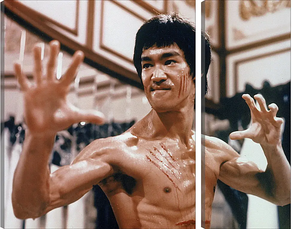 Модульная картина - Брюс Ли (Bruce Lee)