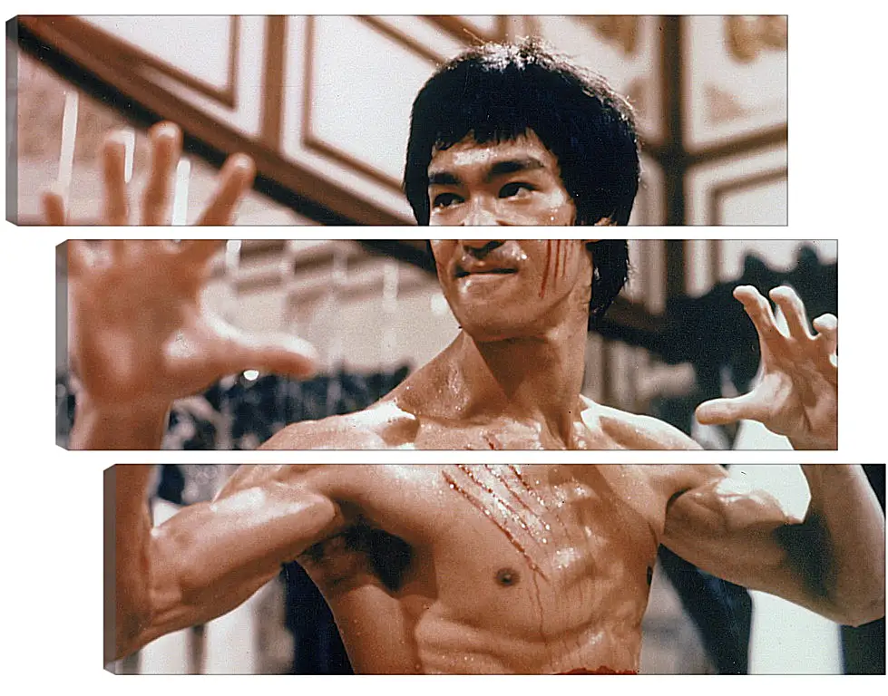 Модульная картина - Брюс Ли (Bruce Lee)