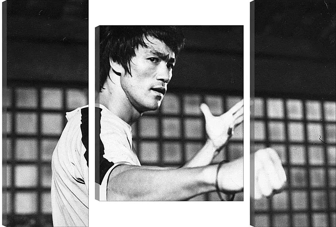 Модульная картина - Брюс Ли (Bruce Lee)