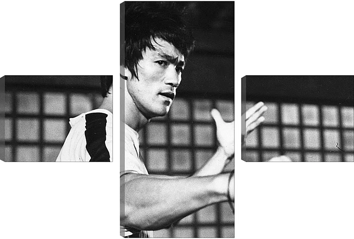 Модульная картина - Брюс Ли (Bruce Lee)