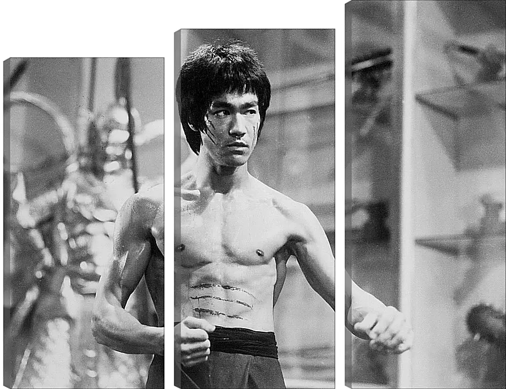 Модульная картина - Брюс Ли (Bruce Lee)