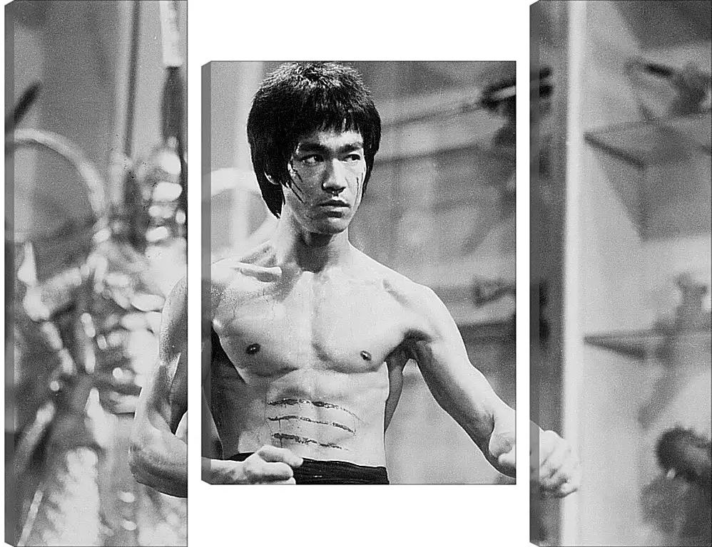 Модульная картина - Брюс Ли (Bruce Lee)