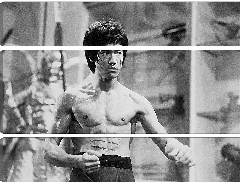 Модульная картина - Брюс Ли (Bruce Lee)