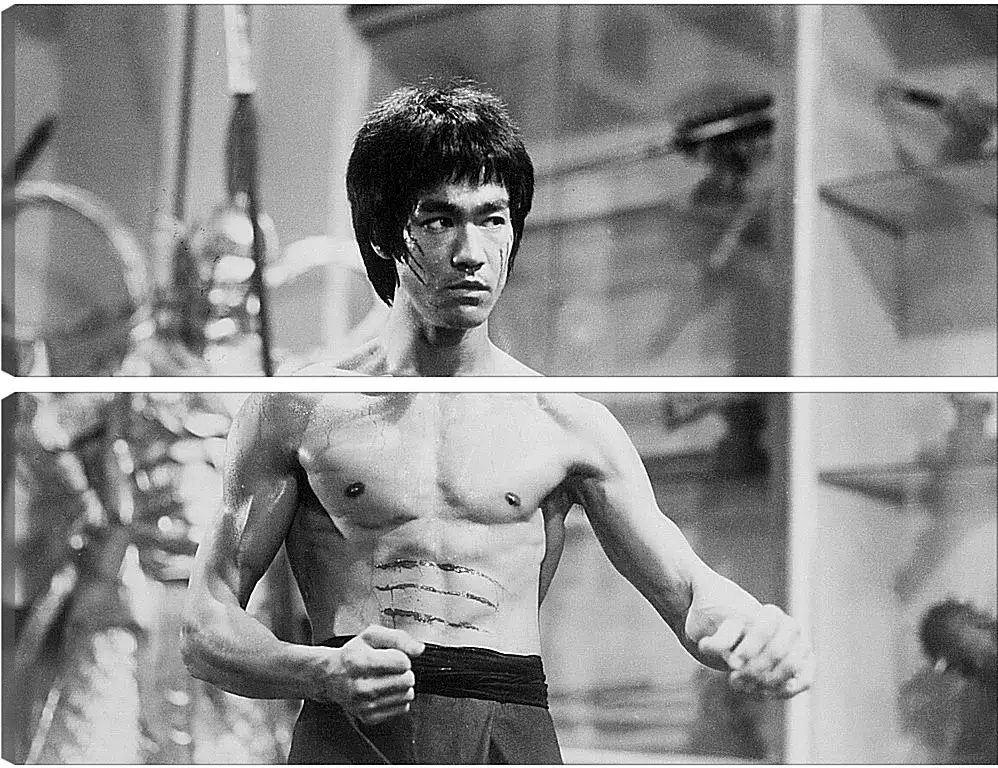 Модульная картина - Брюс Ли (Bruce Lee)