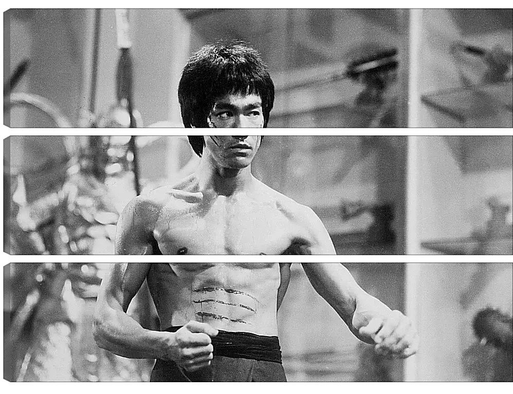 Модульная картина - Брюс Ли (Bruce Lee)