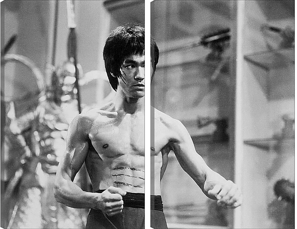 Модульная картина - Брюс Ли (Bruce Lee)