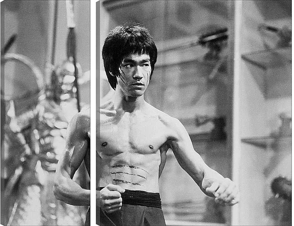 Модульная картина - Брюс Ли (Bruce Lee)