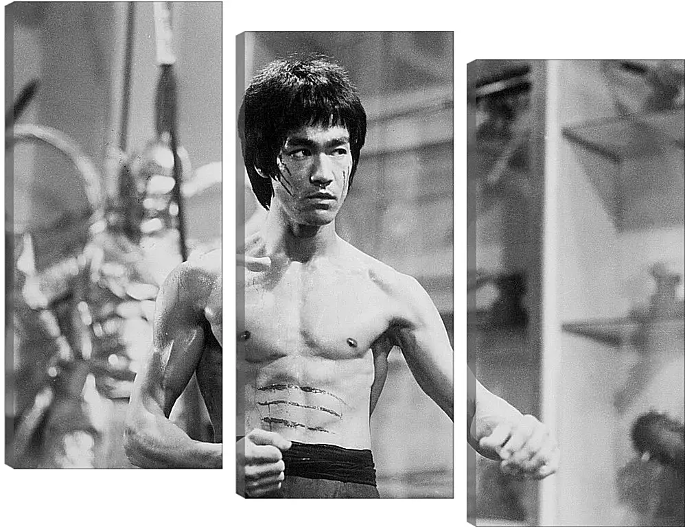 Модульная картина - Брюс Ли (Bruce Lee)