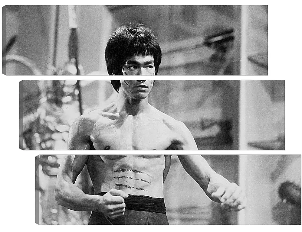 Модульная картина - Брюс Ли (Bruce Lee)