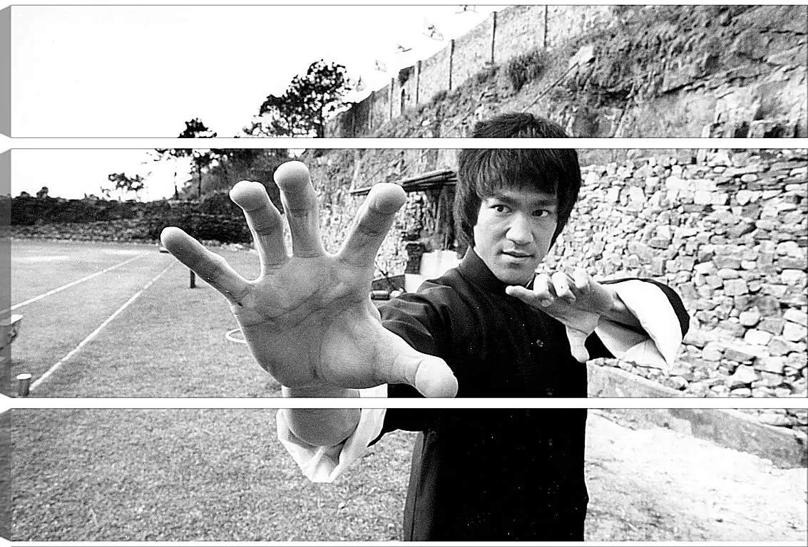 Модульная картина - Брюс Ли (Bruce Lee)