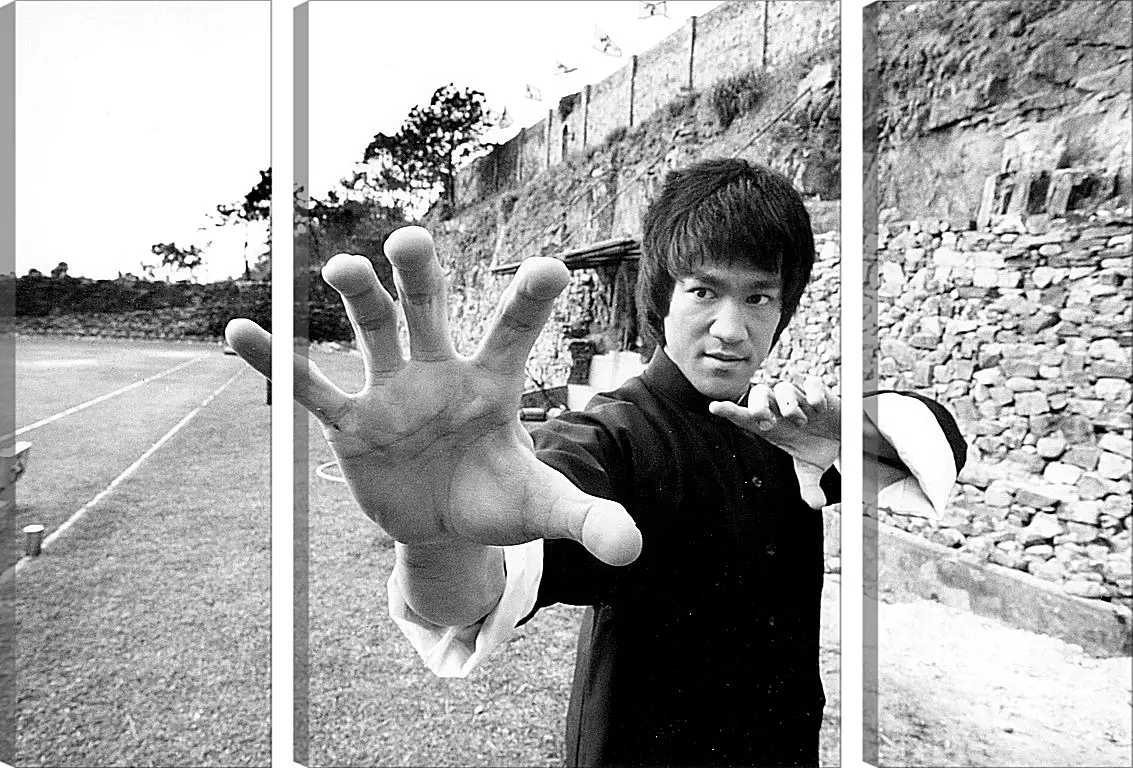 Модульная картина - Брюс Ли (Bruce Lee)