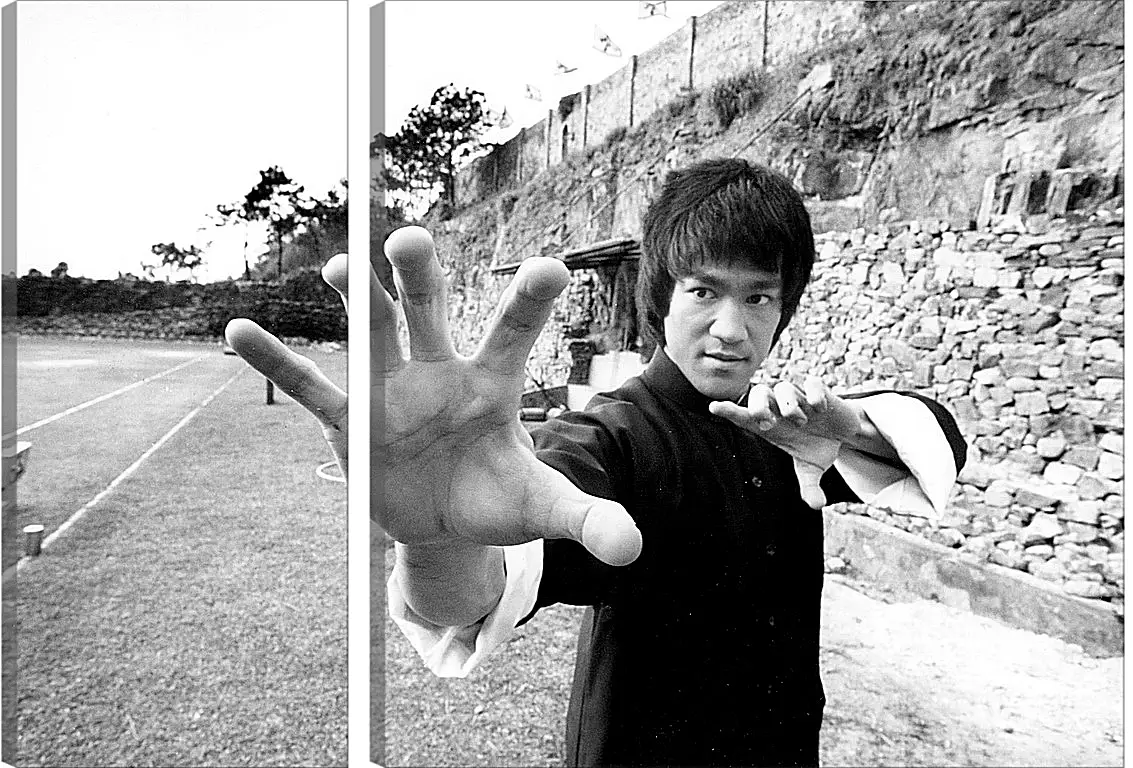 Модульная картина - Брюс Ли (Bruce Lee)