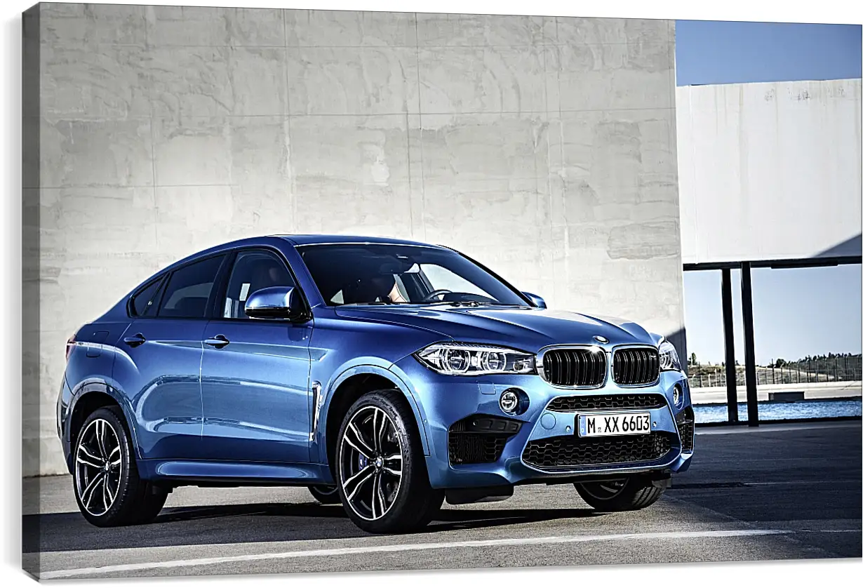 Постер и плакат - BMW X6 M