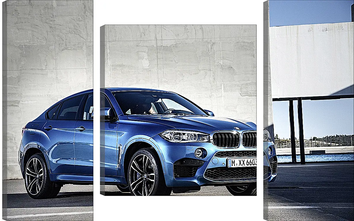 Модульная картина - BMW X6 M