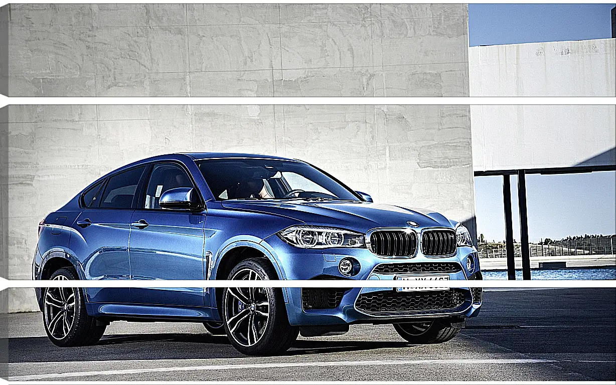 Модульная картина - BMW X6 M