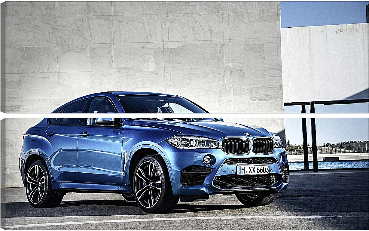 Модульная картина - BMW X6 M