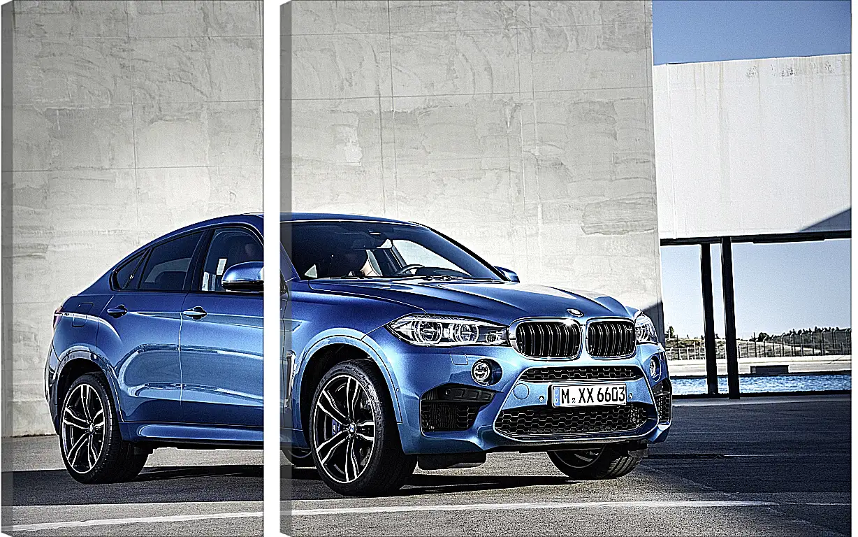 Модульная картина - BMW X6 M