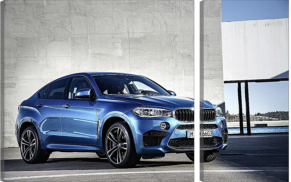 Модульная картина - BMW X6 M