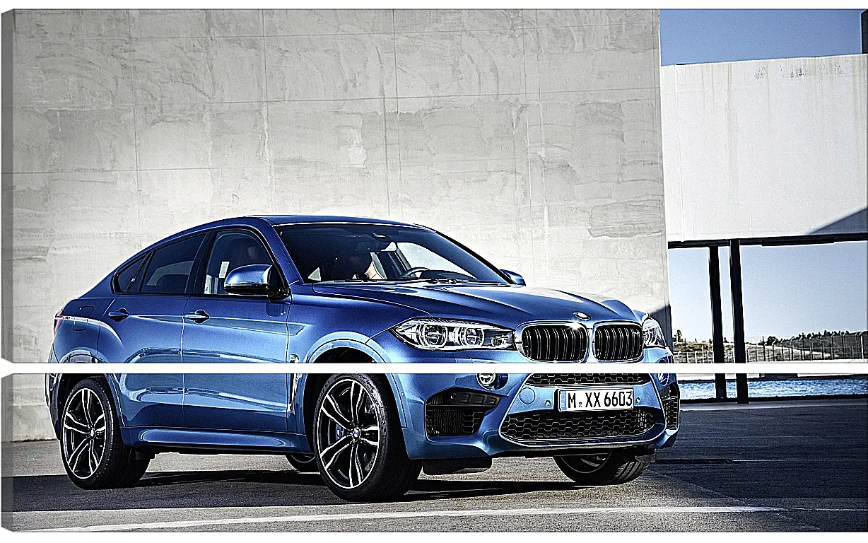 Модульная картина - BMW X6 M