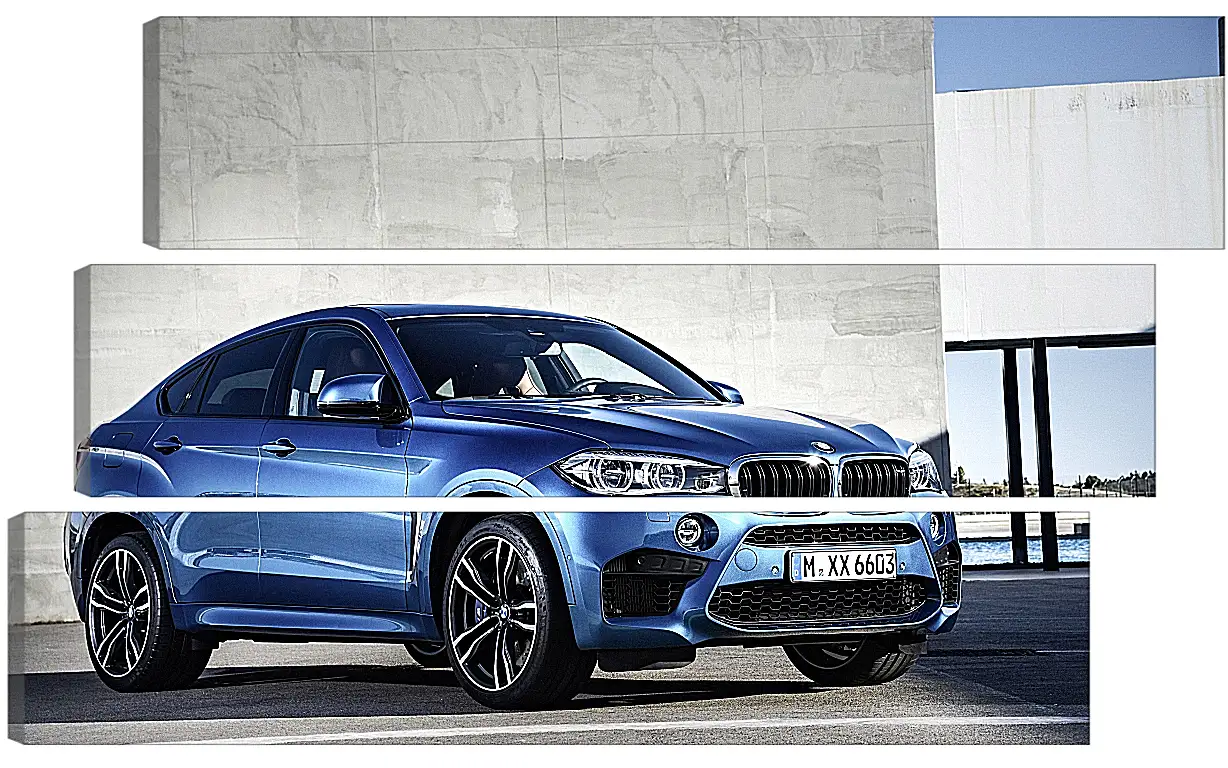 Модульная картина - BMW X6 M