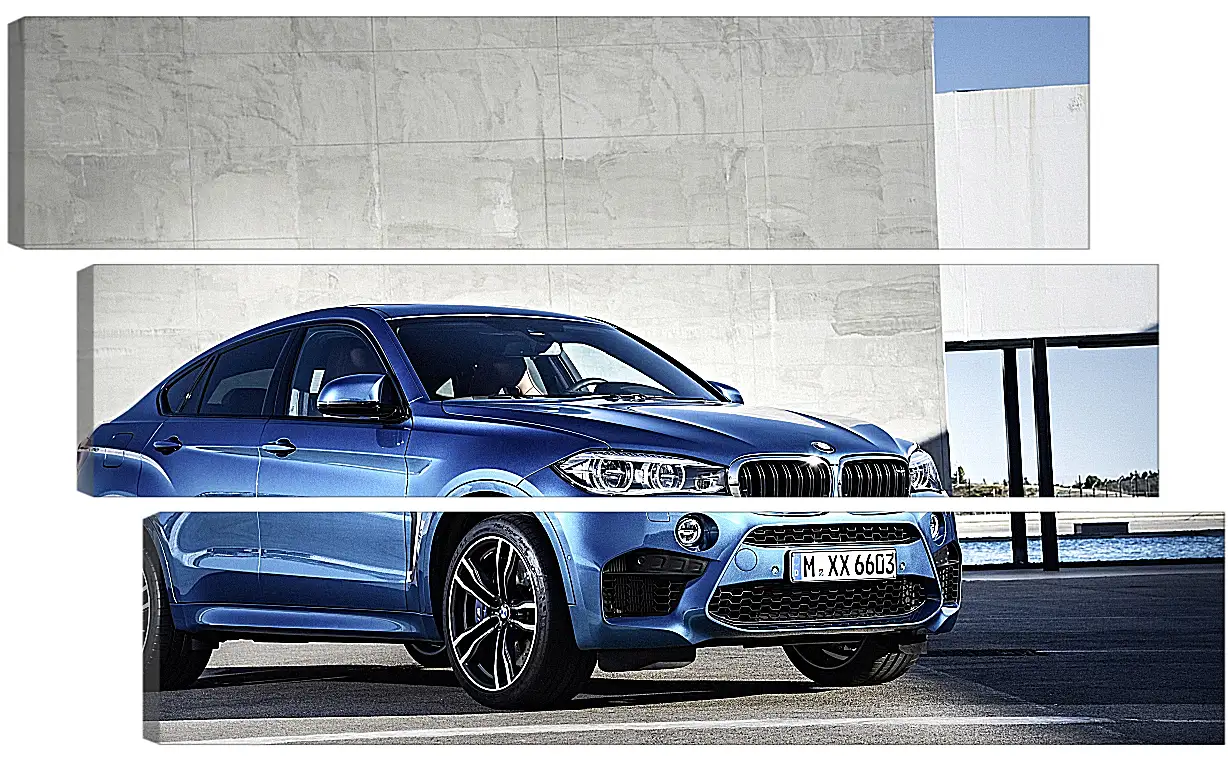 Модульная картина - BMW X6 M