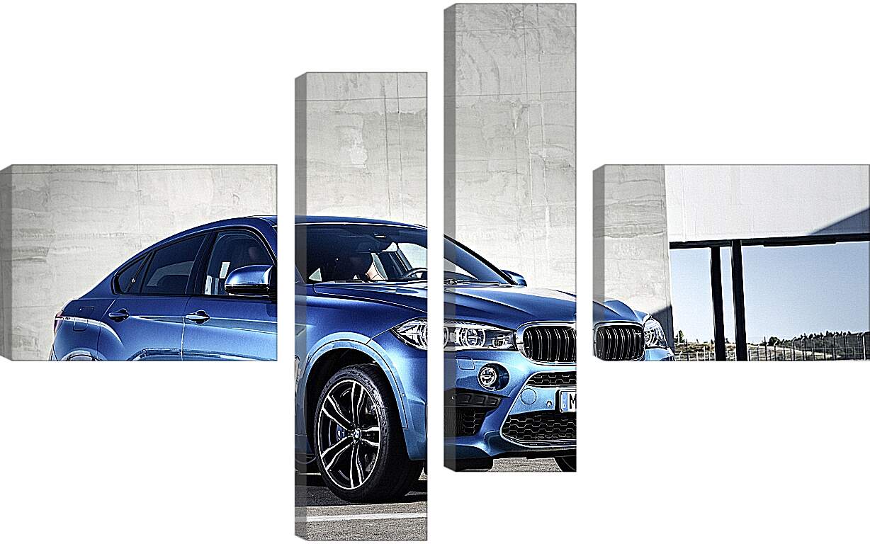 Модульная картина - BMW X6 M