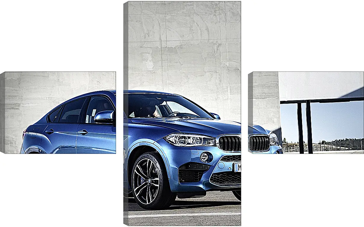 Модульная картина - BMW X6 M