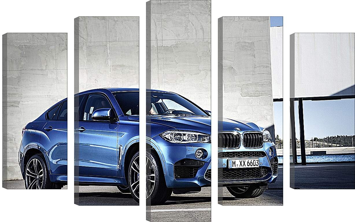 Модульная картина - BMW X6 M