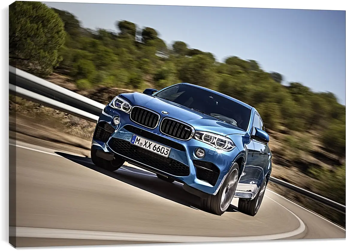 Постер и плакат - BMW X6 M