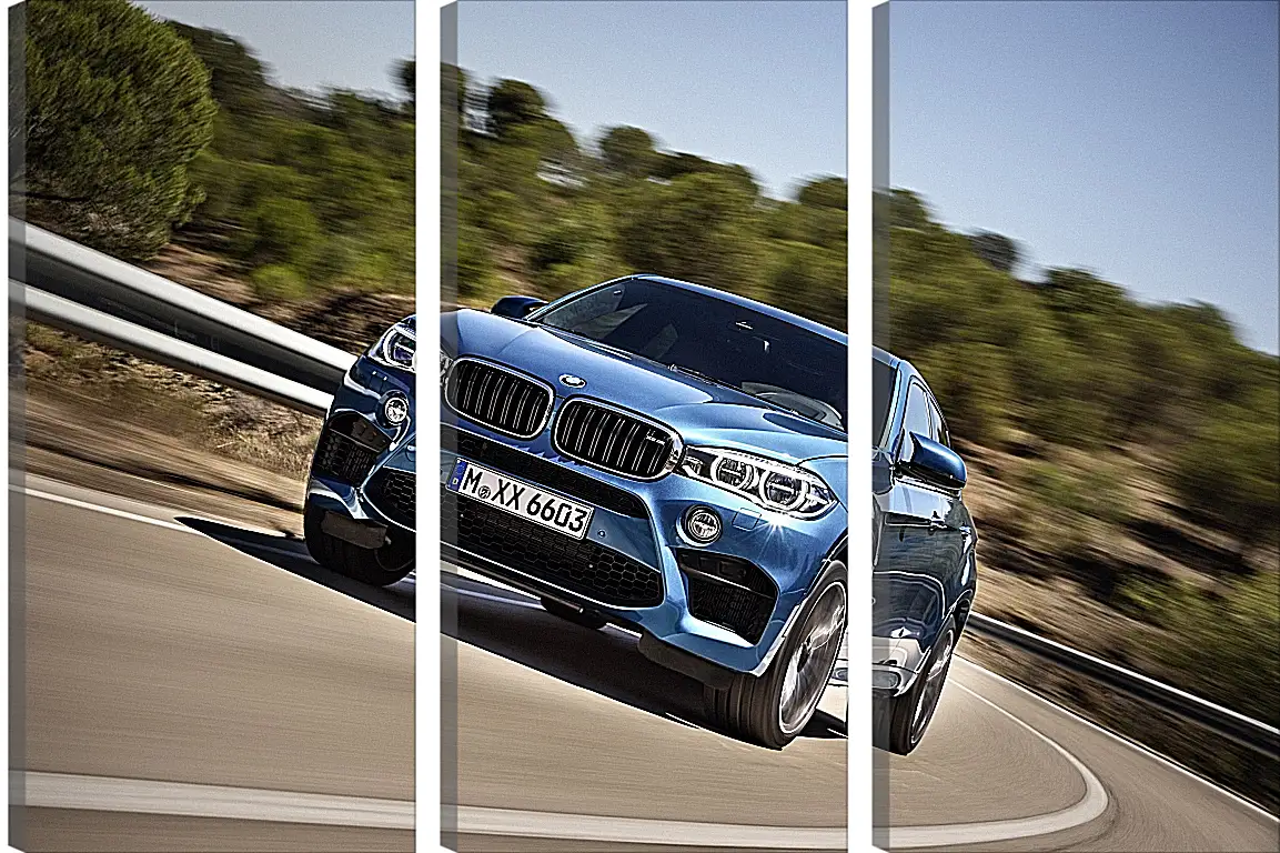 Модульная картина - BMW X6 M