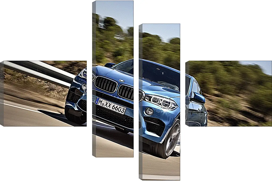 Модульная картина - BMW X6 M