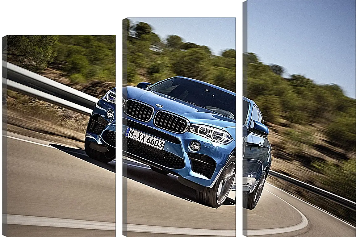 Модульная картина - BMW X6 M